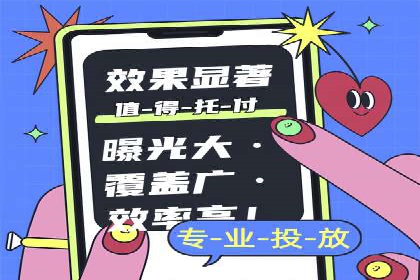 成功企业SEM竞价代运营案例研究